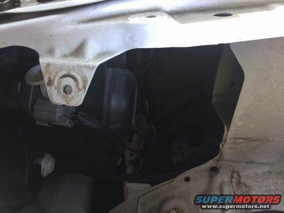 Right side: the low beam housing is right next to the fender. Twist off the weather cap, twist off the electrical connector, unclip the two bulb retainer arms (push in each arm so it can move outwards), pivot the retainer downwards and pull the bulb out.