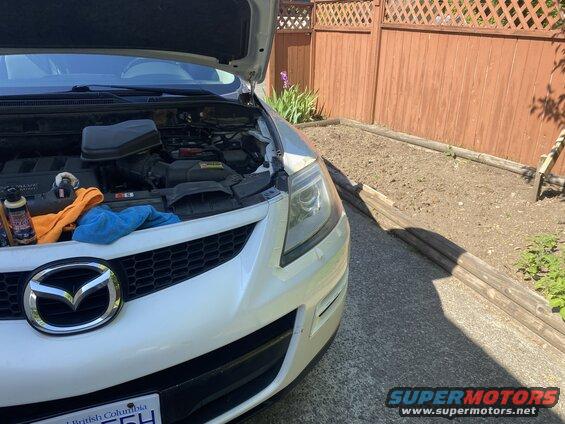 Polished the headlights.....again