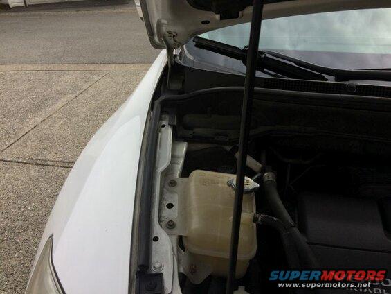 White SUV engine bay with hood open, showing coolant reservoir and hoses.