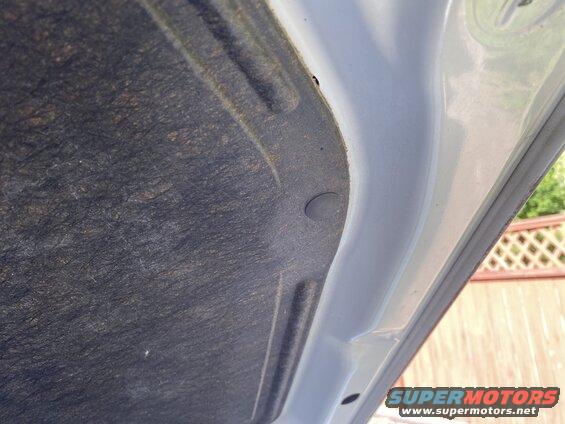 Underside of a car hood showing sound dampening material and a clip.