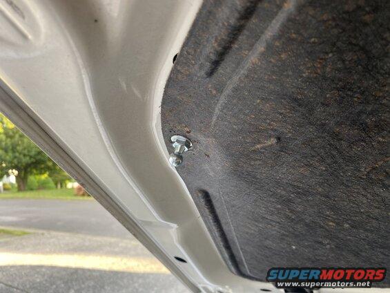 Close-up of bolt holding sound dampening material to underside of white car hood.
