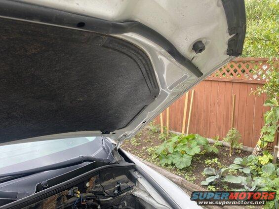 Re-install the liner and install the struts.