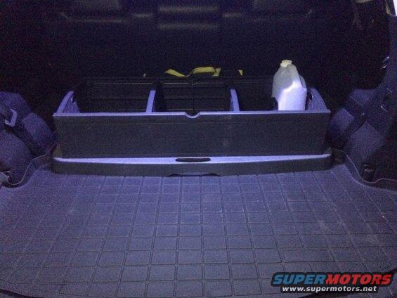 Cargo area of a vehicle with a black organizer and a white jug on a rubber mat.