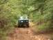 1979 Ford Bronco - This 1979 Ford Bronco navigates a challenging dirt path through a dense forest.