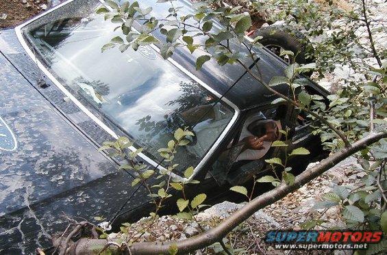 Black Ford Bronco stuck in rocky terrain, overgrown with branches