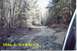 1984 Ford Bronco - TRAIL 4 WET & ICY