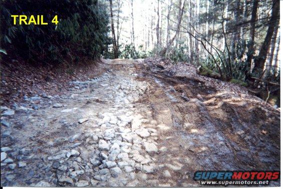 tellico_04_7.jpg 