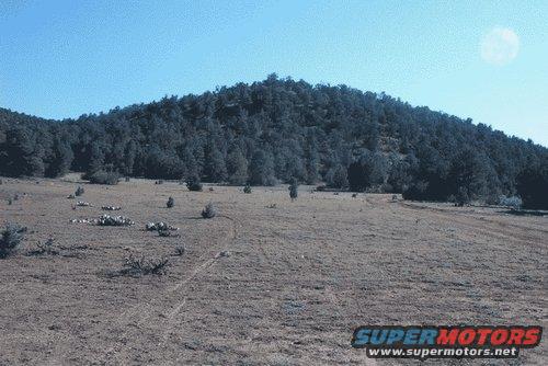 Dry, grassy field with scattered bushes and a wooded hill under a clear blue sky. Tire tracks are visible on the ground