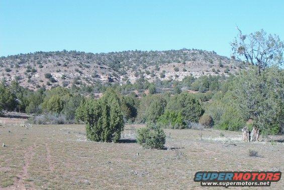 Dry grassy field with scattered bushes and trees, leading to a rocky, scrub-covered hill under a clear blue sky