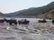 2000 Ford F-450 - Multiple trucks are bogged down in a muddy area next to a large body of water with hills in the distance.