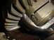 1992 Ford Bronco - This is a close-up view of differential gears, showing some wear and oil residue on the teeth.