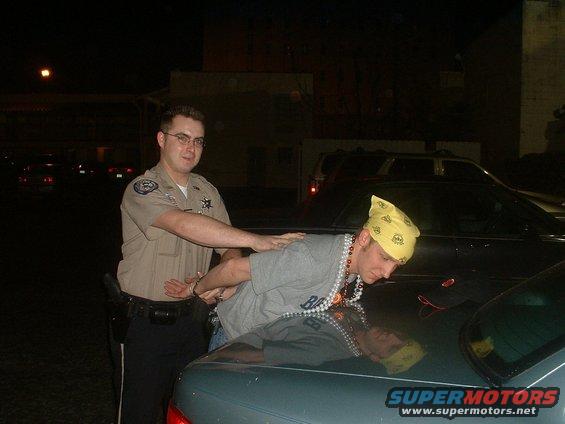 arrested.jpg gotta love mardi gras