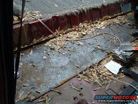 Vehicle interior floor covered in leaves and debris, with visible rust and a piece of paper