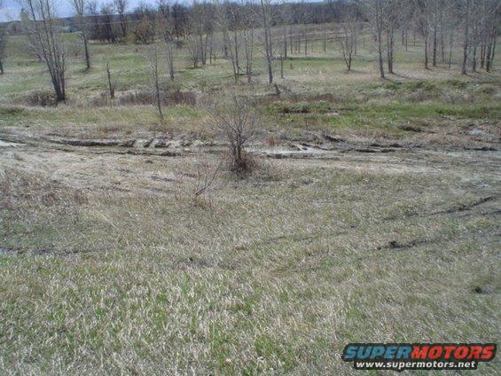 picture-049.jpg then we found this place conceiled by some grass  It looked deep... but not too bad