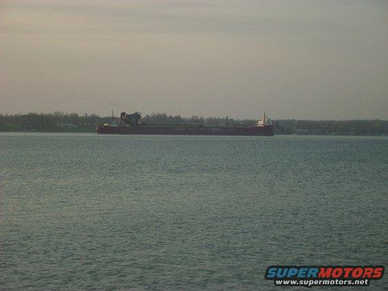 Cargo ship sailing on a body of water with trees in the background