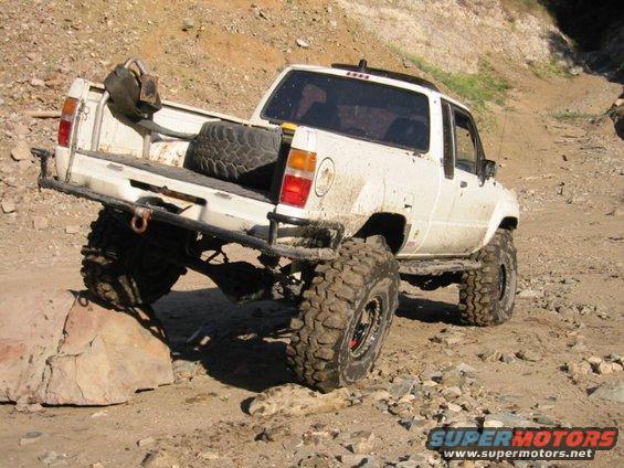 1070764_img.jpg charlie posing