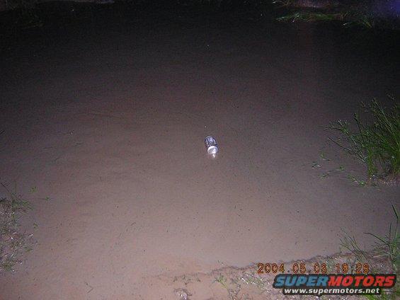 Can floating in muddy water with grass on the right bank. Timestamp 2004.05.03 19:28