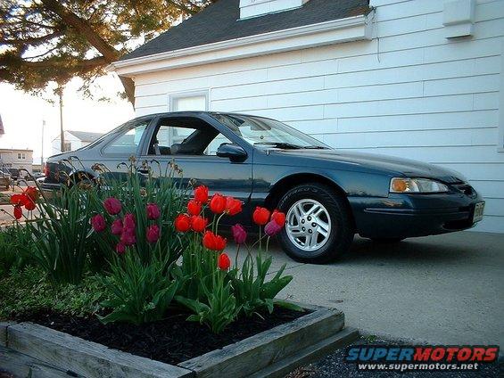 my-car-012.jpg 