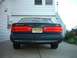 1996 Ford Thunderbird - The rear of a dark blue Ford Thunderbird is parked in a driveway next to a white house.