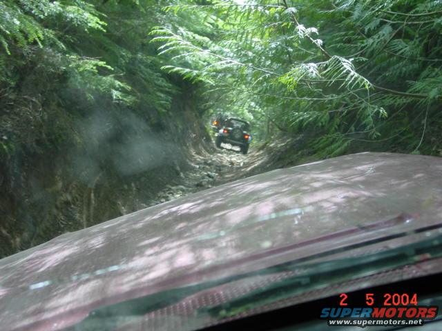Two off-road vehicles navigate a narrow, overgrown dirt path
