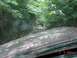 1992 Ford F-150 - Two vehicles traverse a challenging, tree-lined dirt trail, captured on camera in 2004.