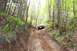 1992 Ford F-150 - A 1992 Ford F-150 navigates a challenging off-road trail through a dense forest.