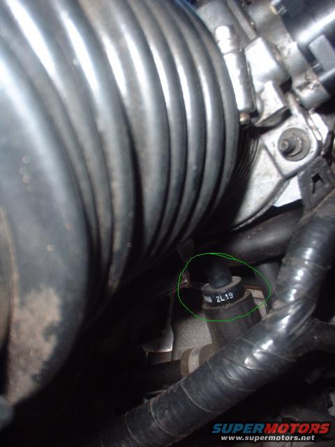 Close-up of a black rubber hose connected to an engine component, with text '2L19' visible