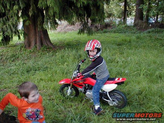 Child wearing a helmet sits on a red dirt bike in a grassy area with a large tree
