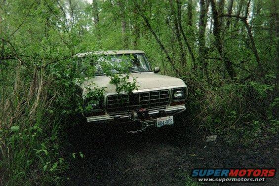 Ford F-Series truck stuck in woods, front view. License plate reads 484-RDF