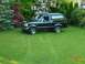 1995 Ford Bronco - A black 1992 Ford Bronco is parked on a grassy lawn surrounded by lush greenery and flowering bushes.