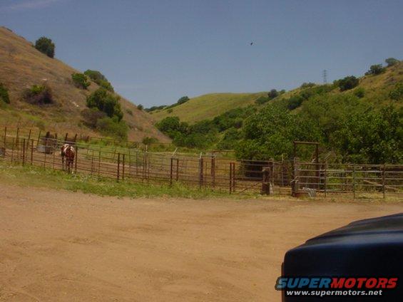 dsc00001.jpg this is the guys ranch we worked on