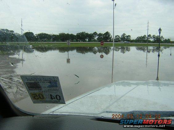 White vehicle hood and windshield with Louisiana registration sticker, looking out at a flooded road with trees and streetlights