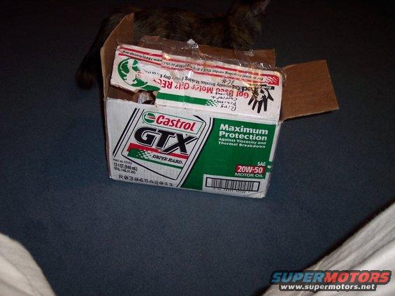 Cardboard box containing Castrol GTX 20W-50 motor oil bottles