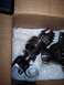 1990 Ford Bronco - Differential gears and bearings are shown inside a cardboard box.