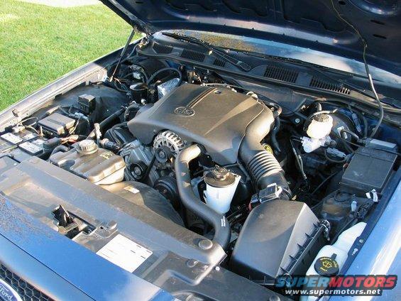 1999p71ebay13.jpg 1999 P71 (eBay) - 13