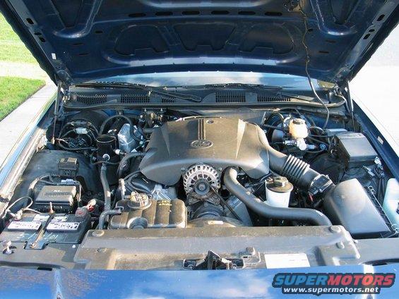 1999p71ebay14.jpg 1999 P71 (eBay) - 14