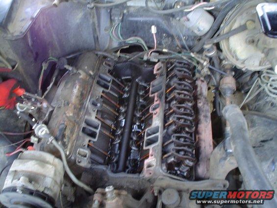 picture-104.jpg pic with intake and drivers side valve cover off.  The other side we had to cut the exhaust warmer thing off.