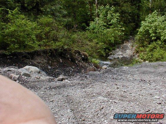 gravel road leading to a stream in a wooded area
