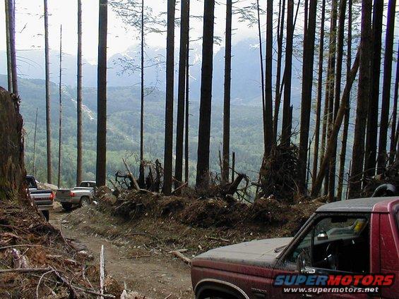 Several off-road vehicles drive on a dirt path through a dense forest with mountains in the background. A red vehicle is in the foreground