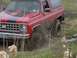 1981 Ford Bronco - getting tugged out