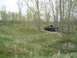 1981 Ford Bronco - Will on the trail threw the woods