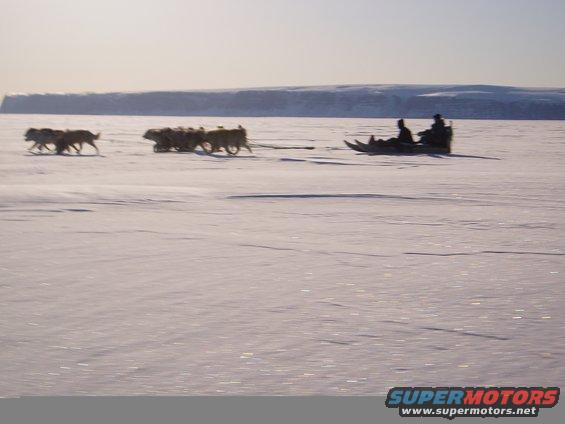 Dog sled team on snow, two people in sled