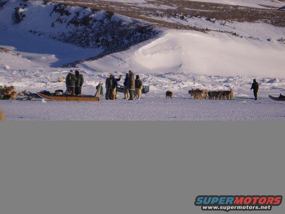 Group of people and sled dogs gathered around a wooden sled in a snowy, arctic landscape