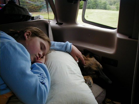 p5230115.jpg On the way home - A very tired Kaitlyn laying on a wiped out Buddy dog