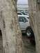 1978 Ford Bronco - Several vehicles are parked on the sand near the ocean, partially obscured by trees.