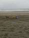 1978 Ford Bronco - A person sits on the sand with two dogs on a cloudy day at the beach.
