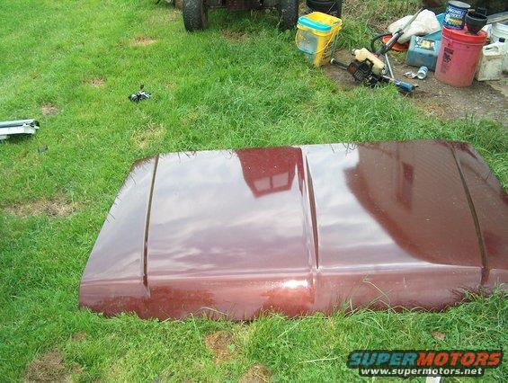 Maroon car hood lying on grass, with some yard equipment in the background