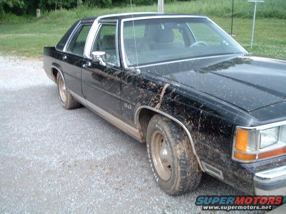 Muddy