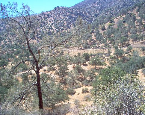 Mountain landscape with dry brush, scattered trees, and a clear blue sky