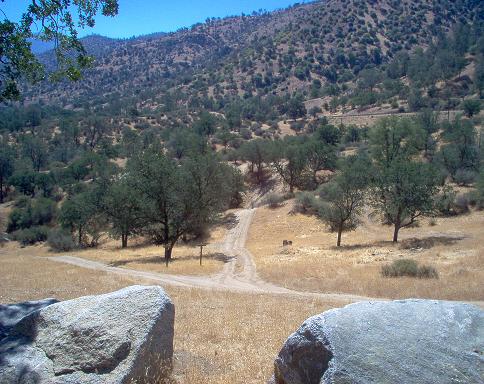 Dirt road splits in a dry, grassy field with trees and a rocky hill in the background